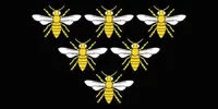 Bees in a triangle